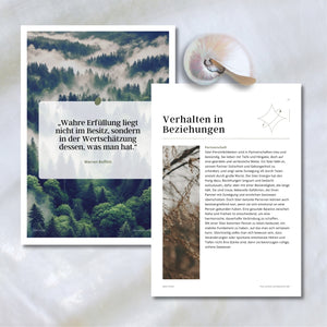 eBook - Der Stier
