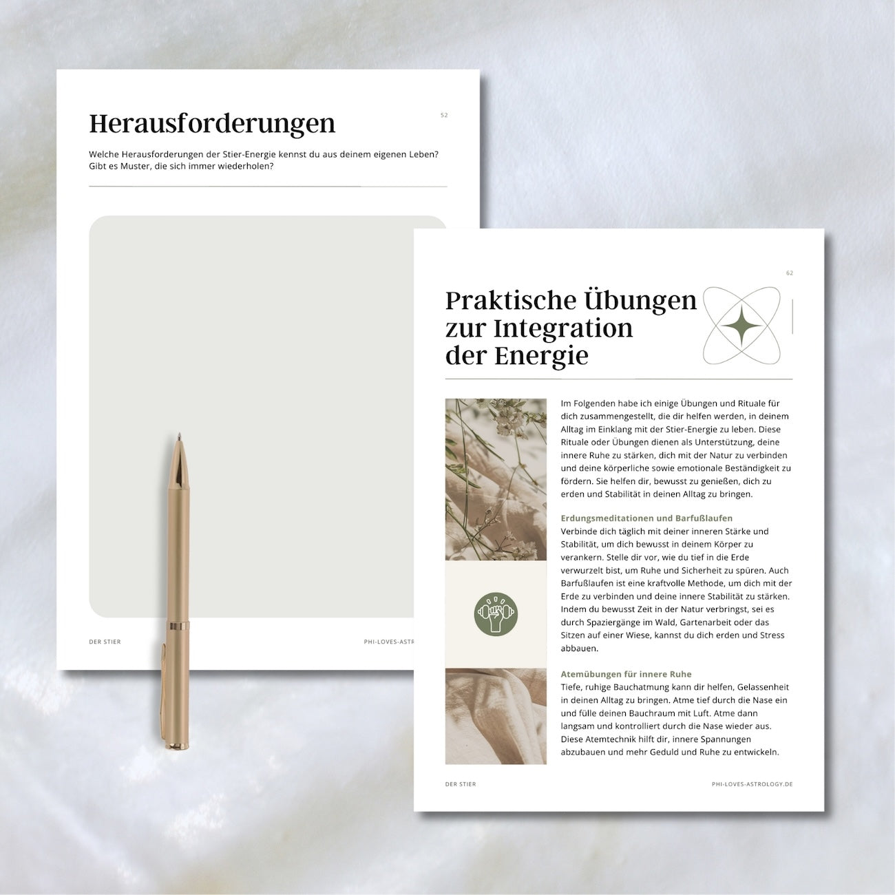 eBook - Der Stier