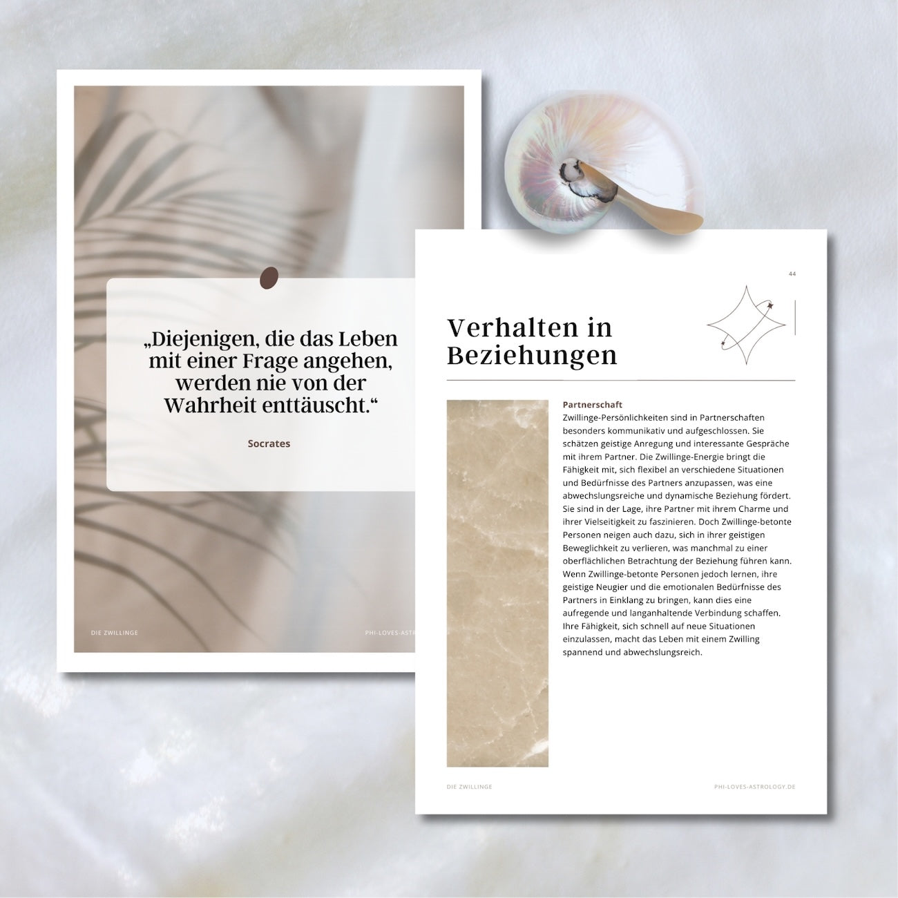 eBook - Die Zwillinge