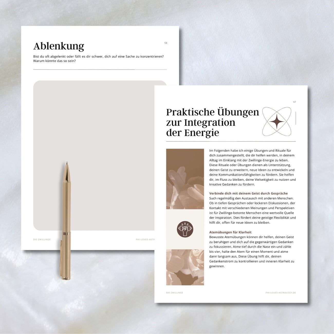eBook - Die Zwillinge