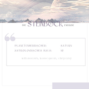 Workbook Steinbockenergie